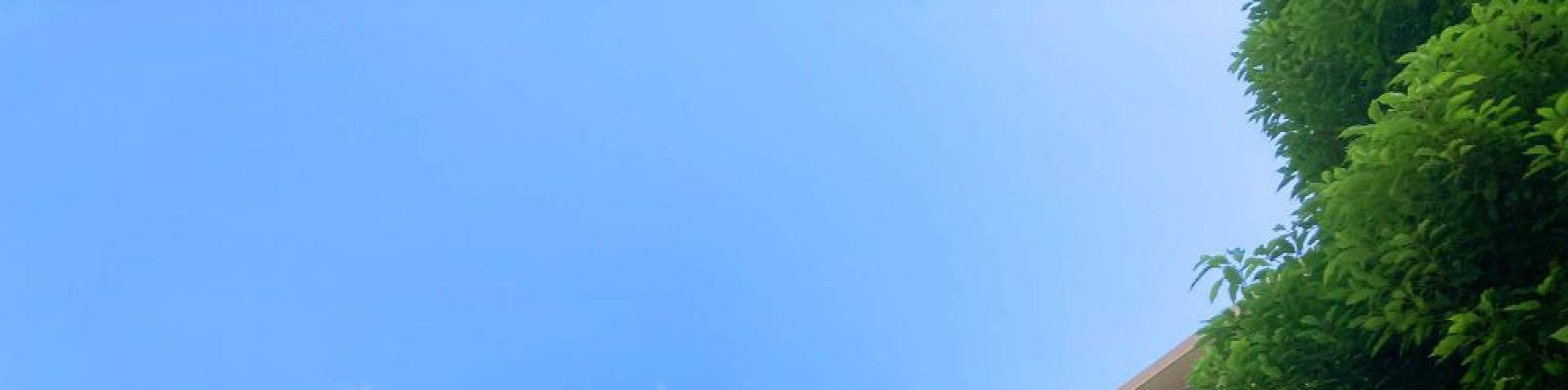 マンション投資は思ったほど儲からない現実だった